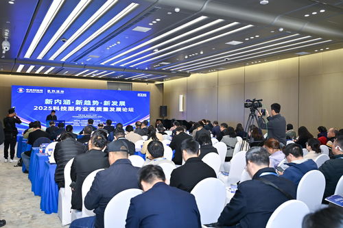 2025中關(guān)村論壇系列活動(dòng) 聚焦科技服務(wù)業(yè)高質(zhì)量發(fā)展，工程技術(shù)服務(wù)引領(lǐng)創(chuàng)新未來